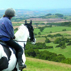 Horse and Rider
