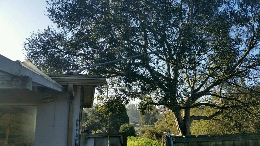 House and Trees - Electrical contractor services in Salinas, CA