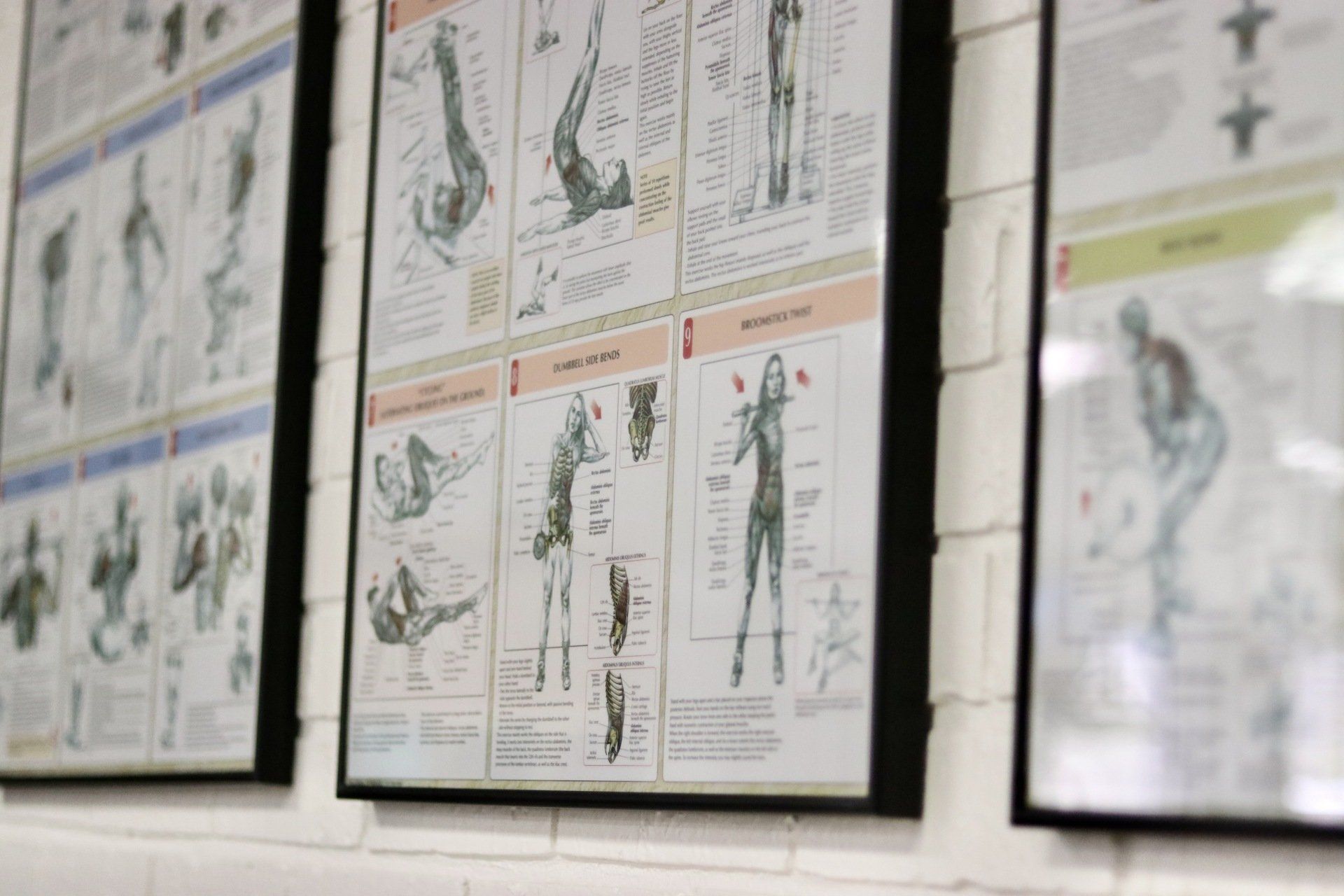 a bunch of posters are hanging on a wall .