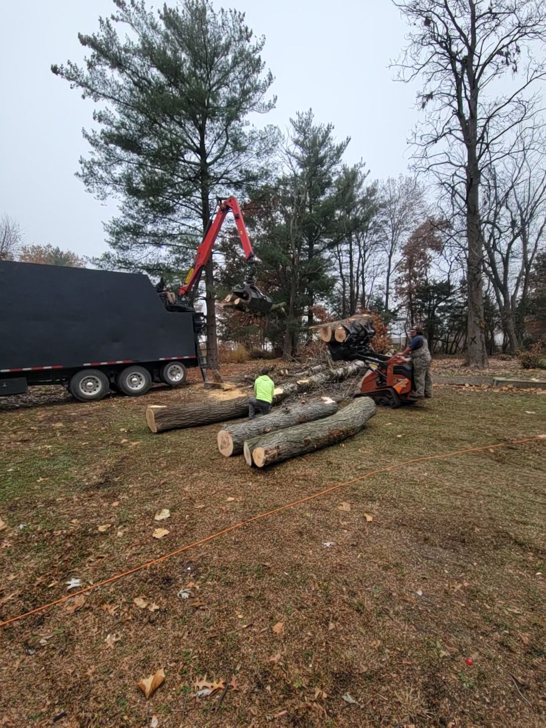 Worker and crane loading cut logs beside a truck in a wooded yard.
