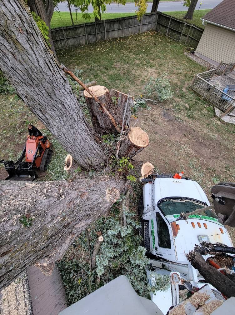 Two workers trimming a large tree beside a white truck in a backyard, with fresh cut logs on the ground