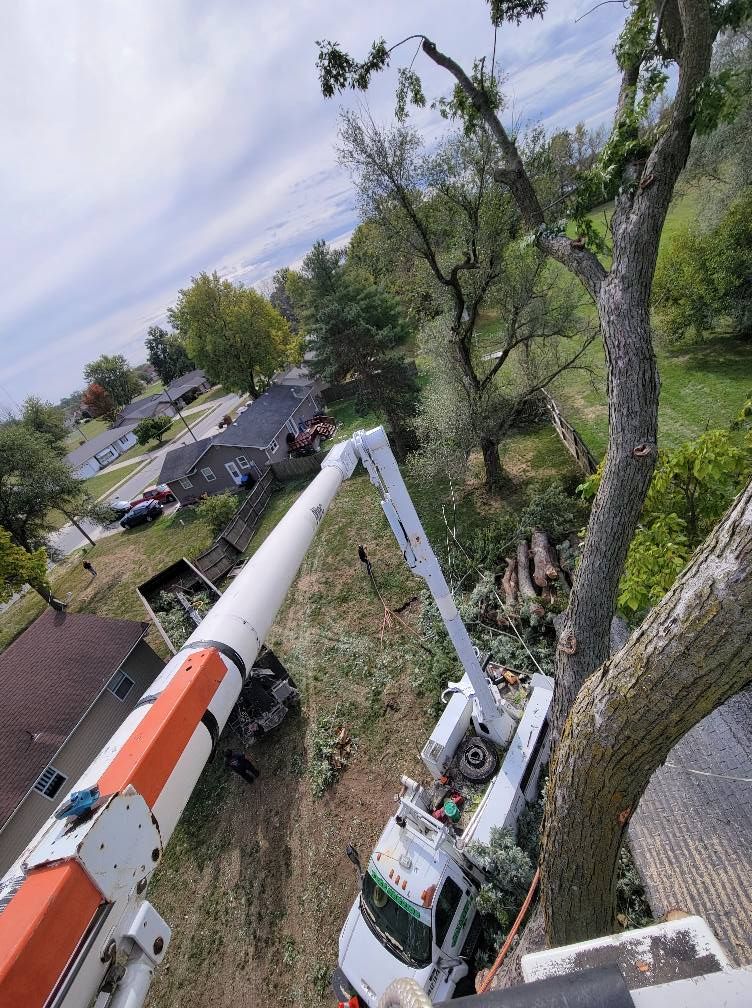 Bucket truck pruning tree branches beside a residential street, viewed from above among tall trees.