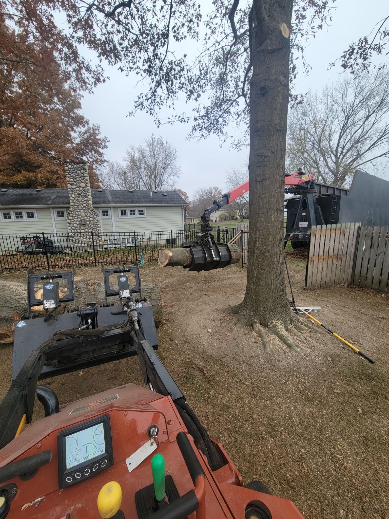 View from a red skid steer in a leaf-covered backyard with a large tree and fence ahead