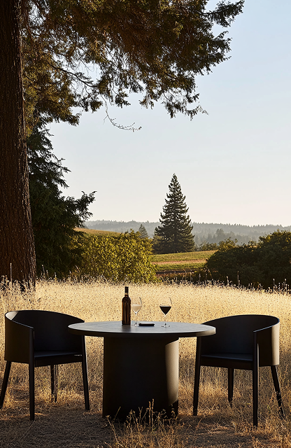 A table with two chairs and a bottle of wine on it in a field.