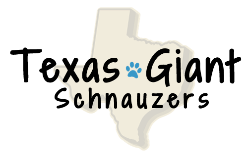 Texas Giant Schnauzers logo