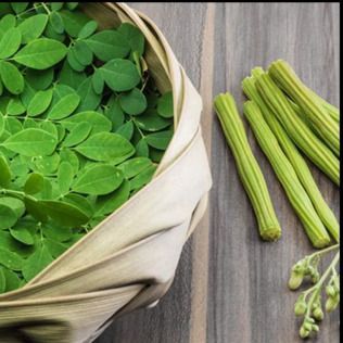 A basket of green moringa leaves next to several fresh moringa drumsticks and small flower buds on a wood surface.