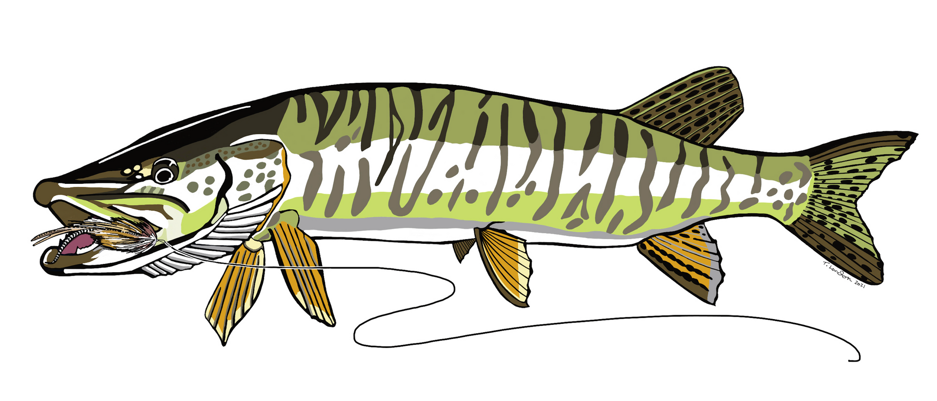 A drawing of a large fish with a hook in its mouth.