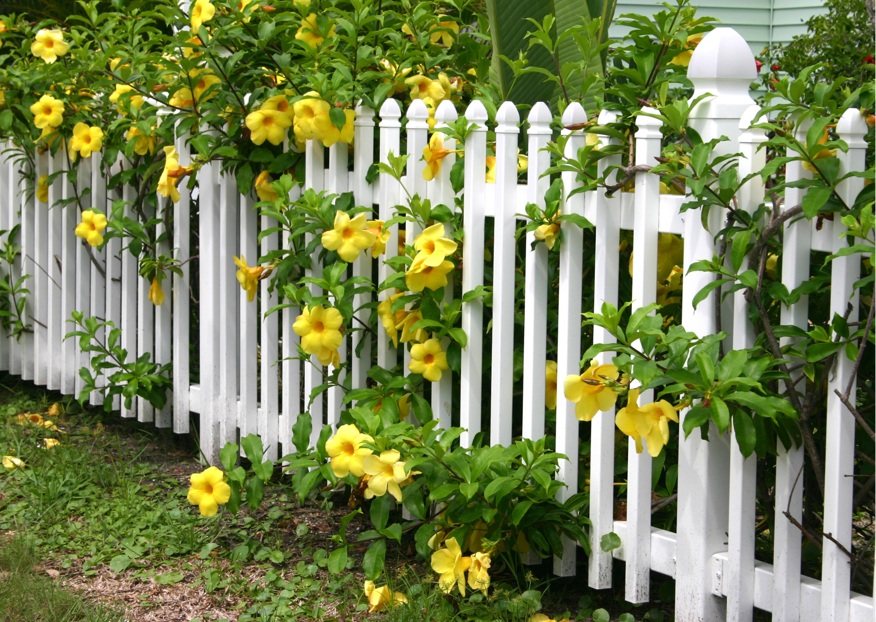 Picket Fence | Bracknell Fence Experts