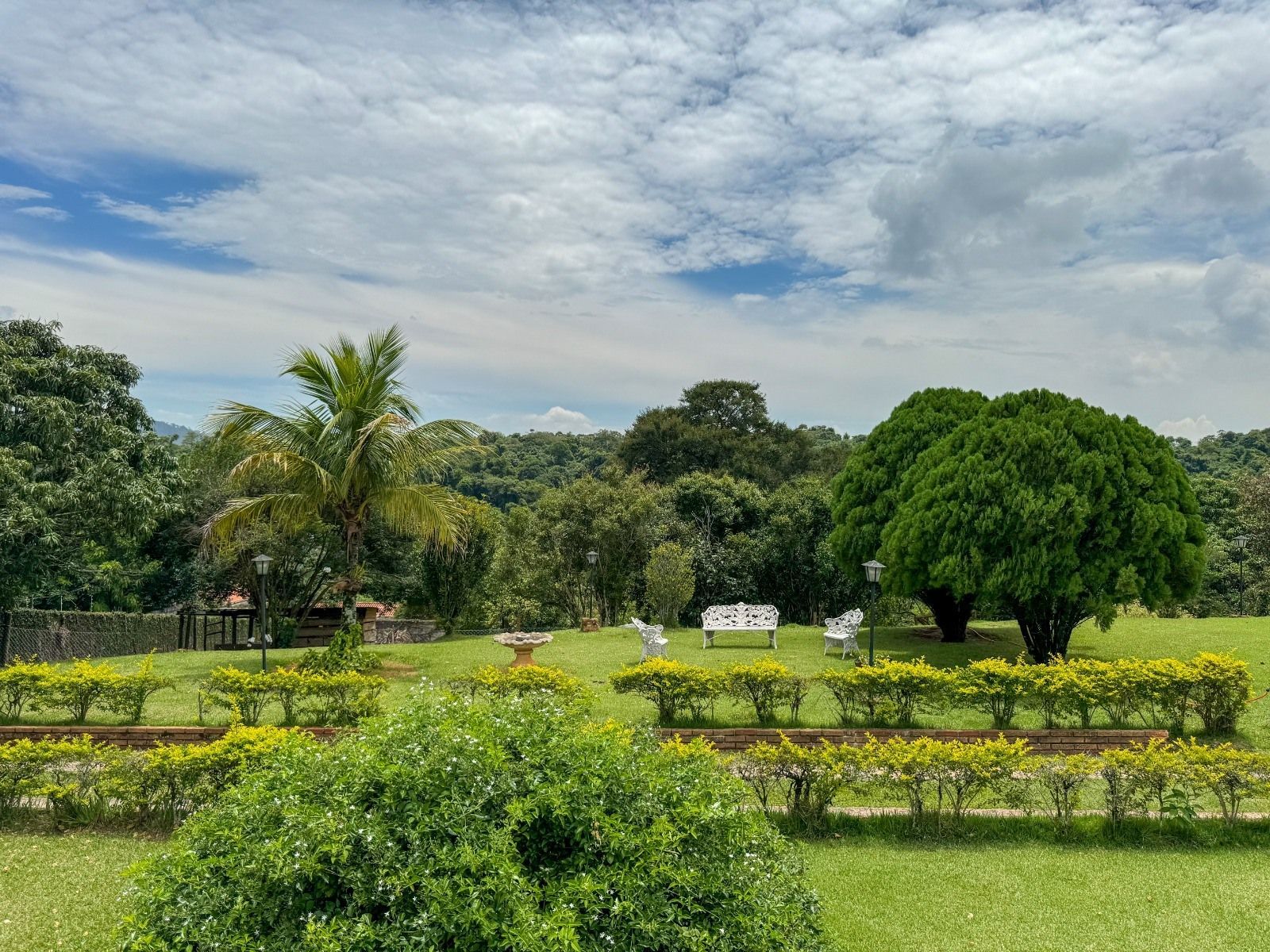 Gramado verde com árvores, arbustos e um banco sob um céu nublado.