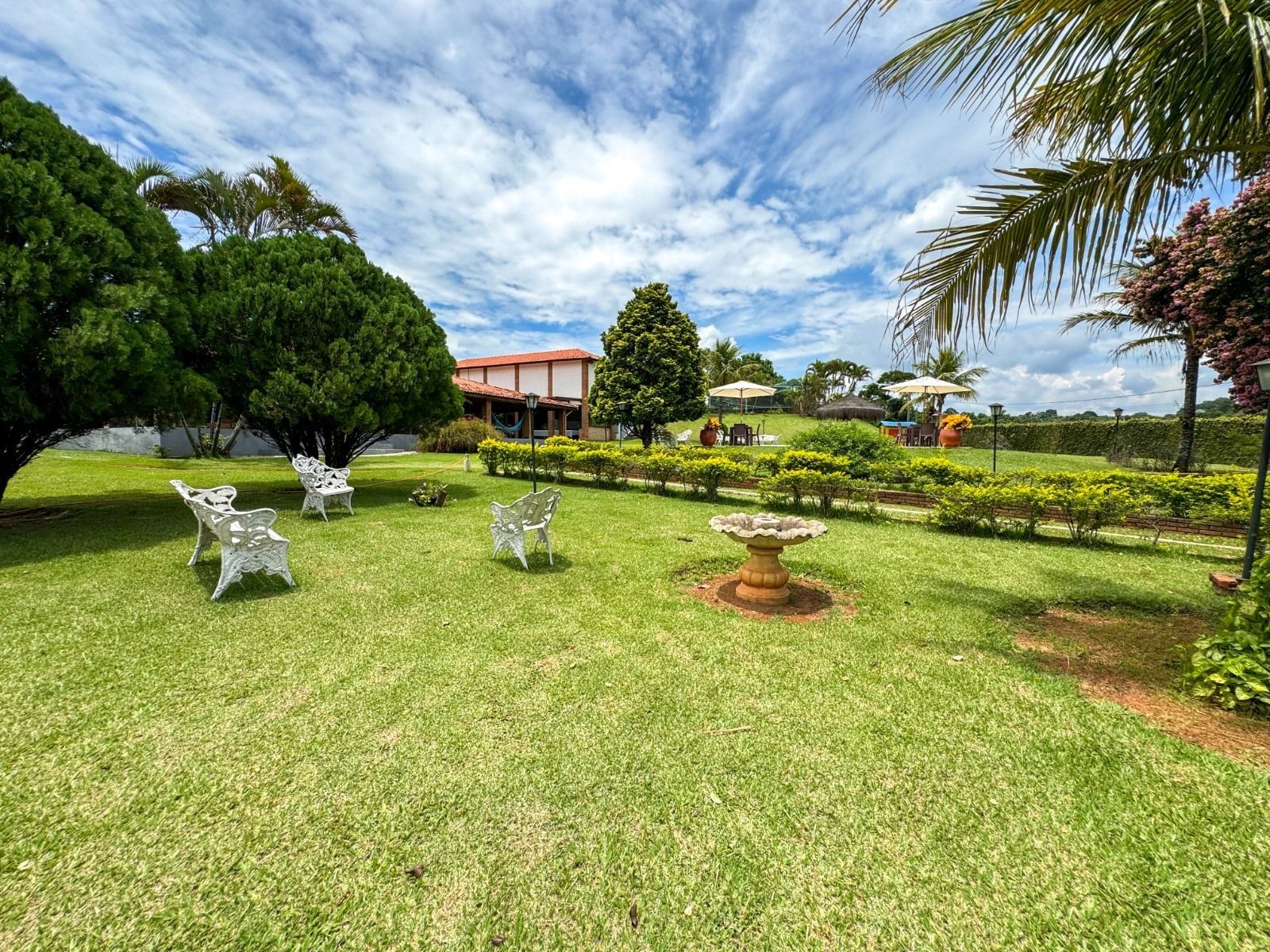 Um gramado verdejante com bancos brancos, um bebedouro para pássaros e sebes que levam a um prédio distante sob um céu nublado.