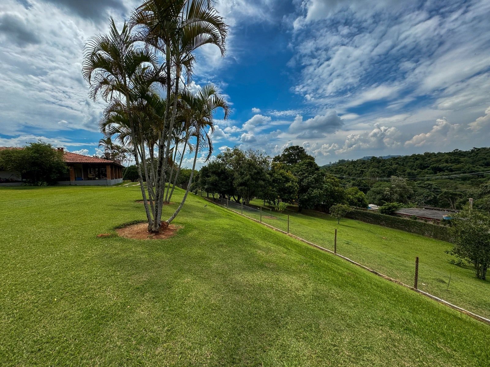 Gramado verde com árvores, casa e cerca sob um céu parcialmente nublado.