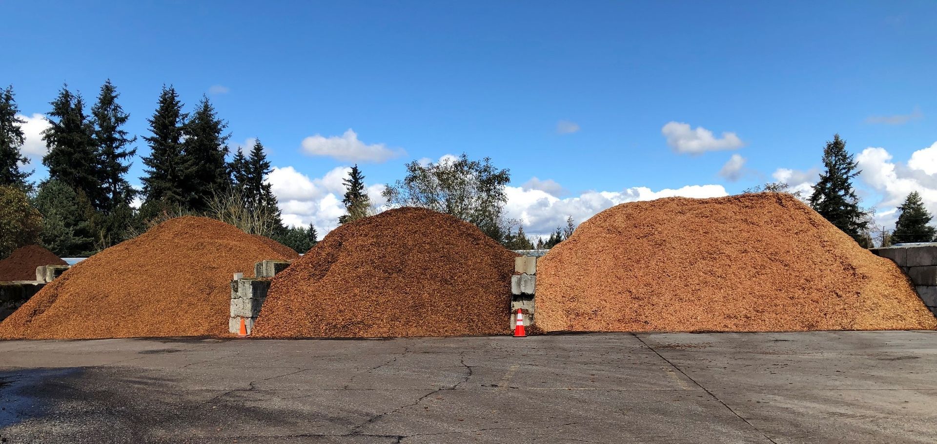Mountain of Barks — Portland, OR — McFarlane’s Bark