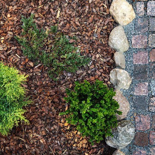 Quality Grade of Mulch — Jacksonville, FL — The Sod Lot