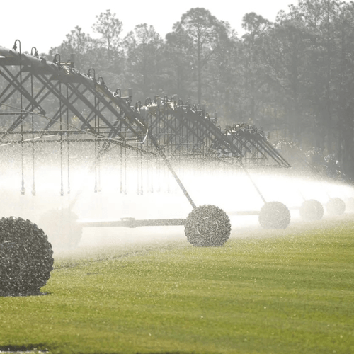 Watering Sod Grass — Jacksonville, FL — The Sod Lot