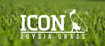 Icon Zoysia Grass