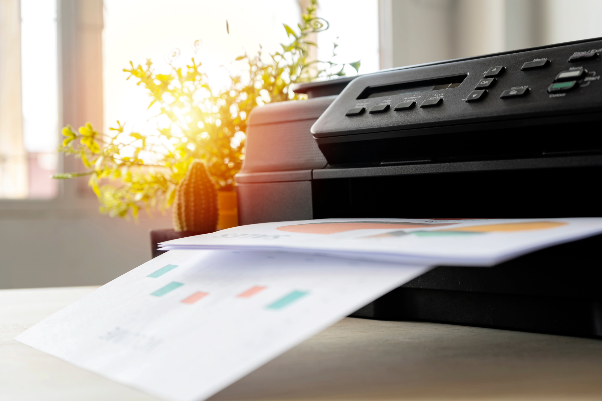 Printer printing a document with colorful charts, next to a plant.