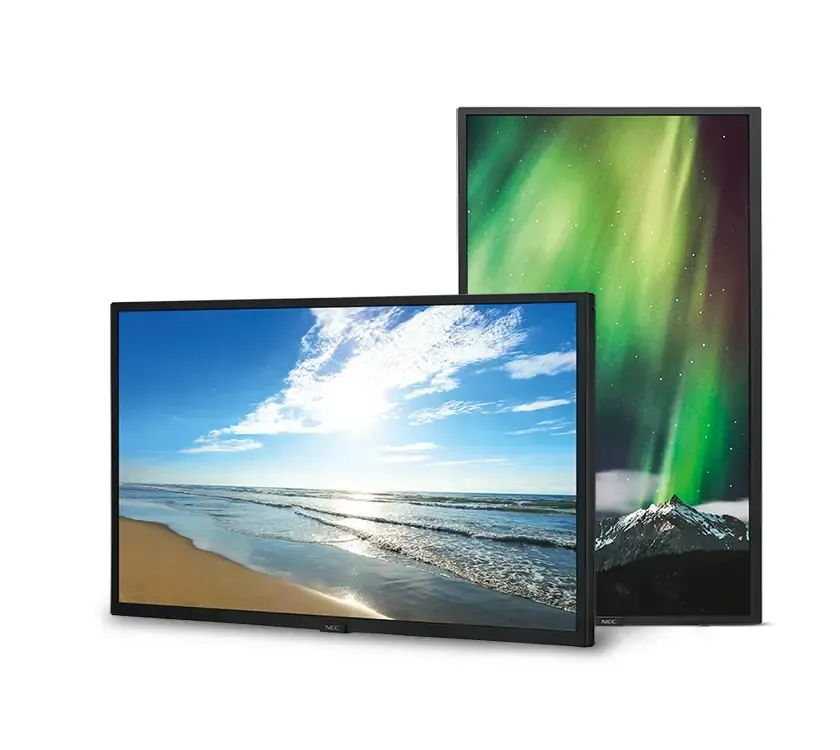 Two digital displays showing a beach scene and the aurora borealis, framed in black.