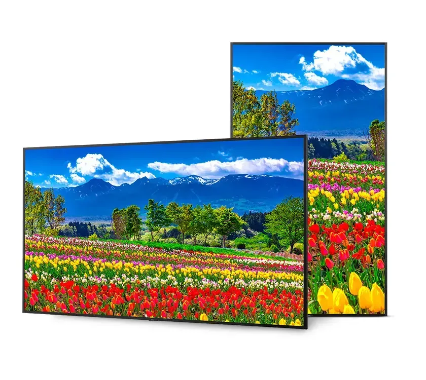 Two rectangular displays showing a vibrant landscape of flowers, trees, and snow-capped mountains.