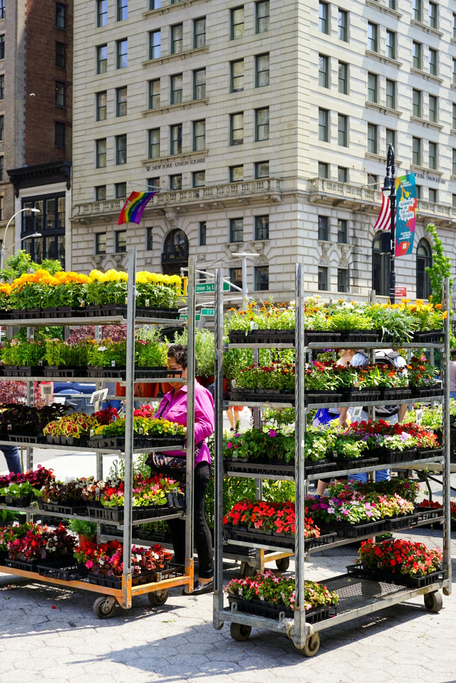 spring flower market in nyc