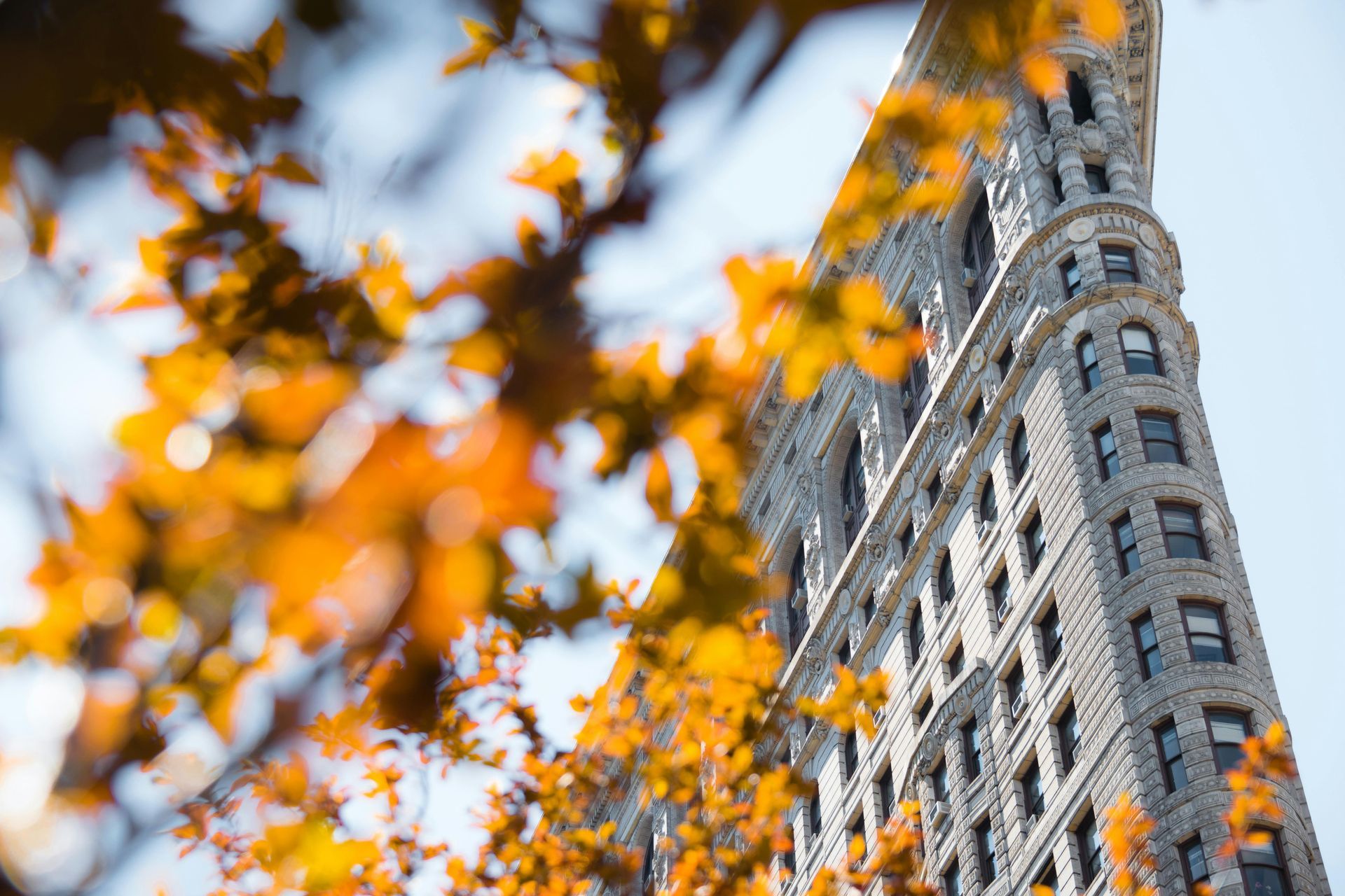 fall leaves in foreground of a gray brick building