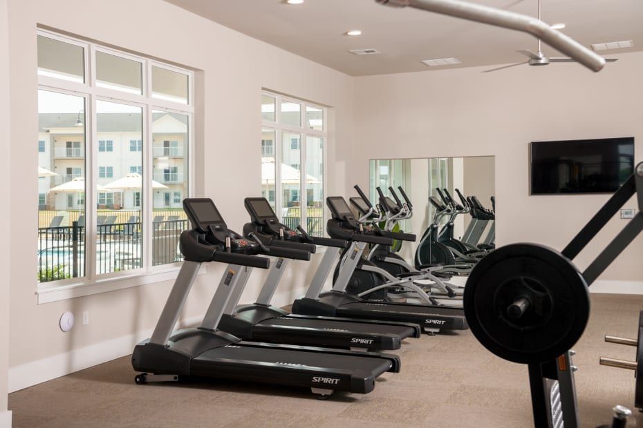 Gym with treadmills, elliptical machines, and weights. Large windows provide natural light.