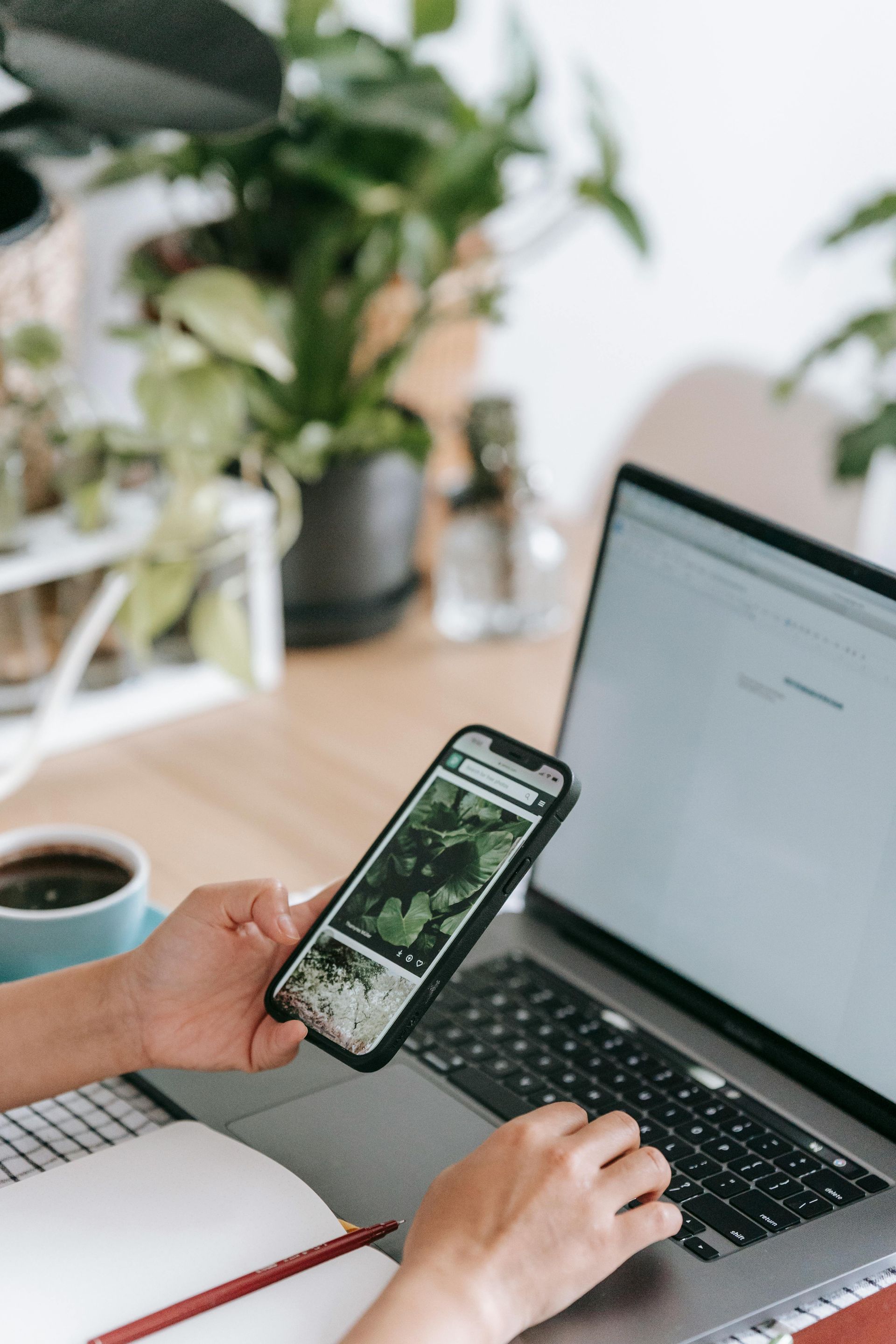 Person holding smartphone and typing on laptop at a desk with plants and coffee.