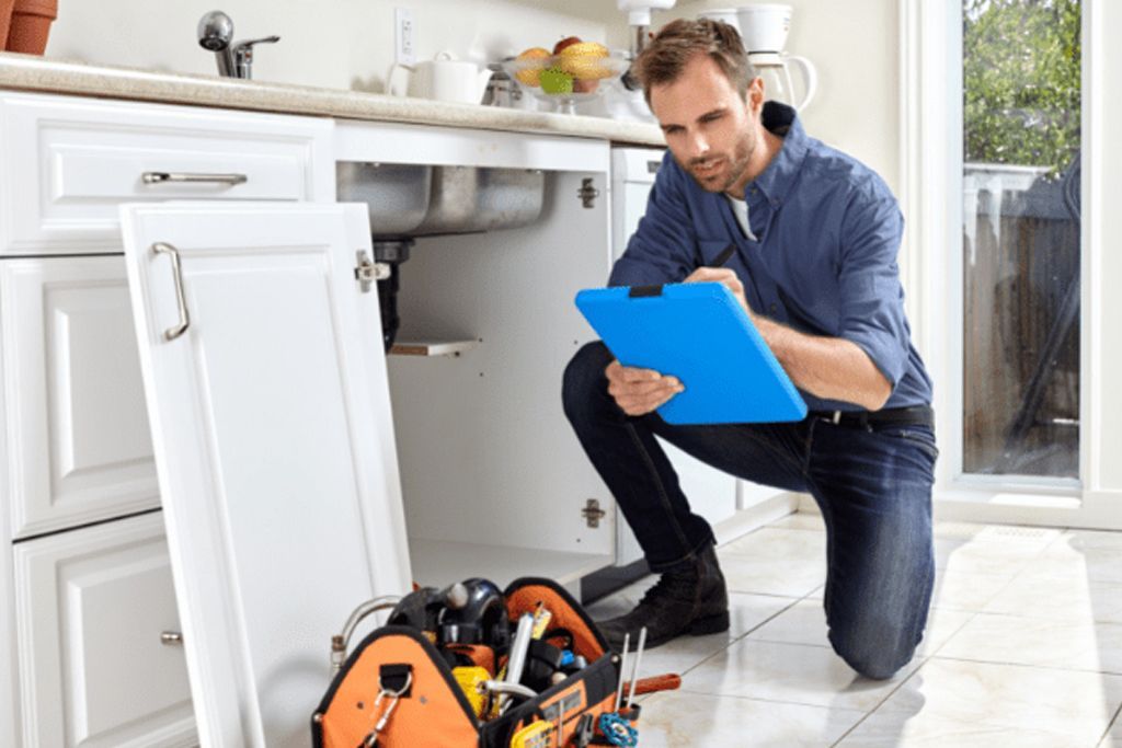 Inspection Guy