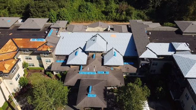 Shingles Roof | Greater Seattle Area | Tacoma Roofing