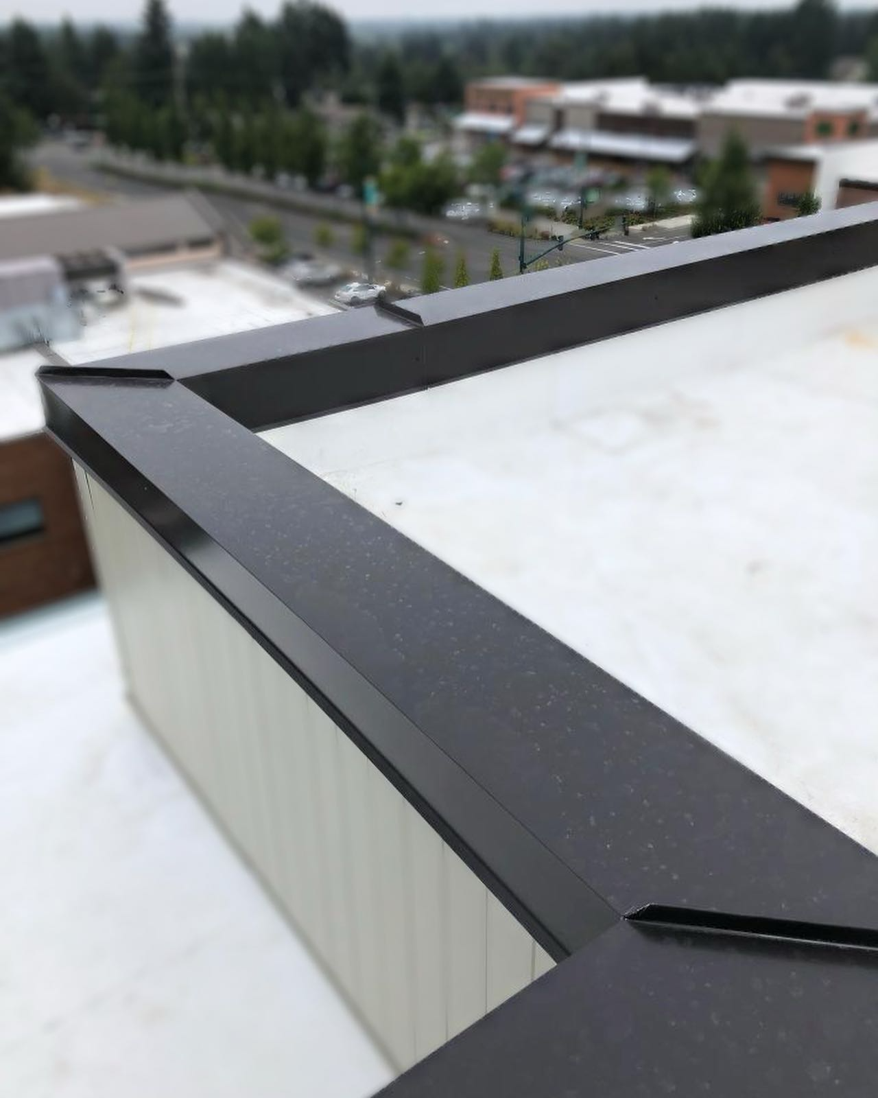 Parapet Cap Flashing | Greater Tacoma Area | Tacoma Roofing & Waterproofing