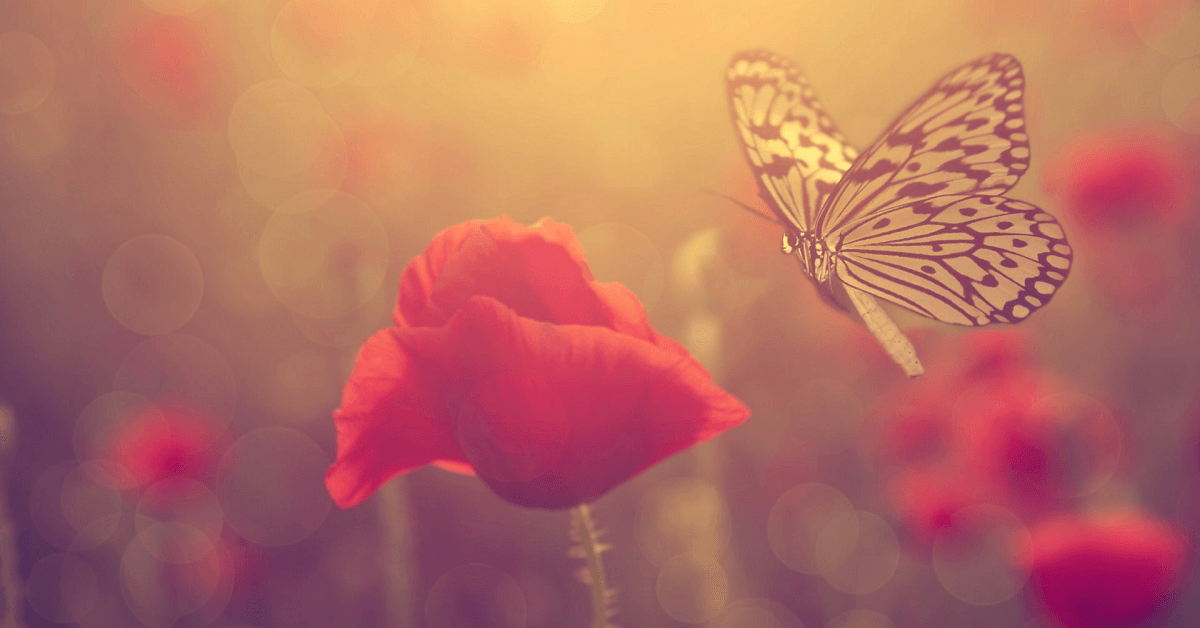 Kruise-Spewock Funeral & Cremation Services, Inc. | Madera | Ramey, PA