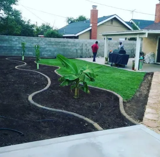 Backyard landscaping with new sod, garden beds with plants, and a cement patio.