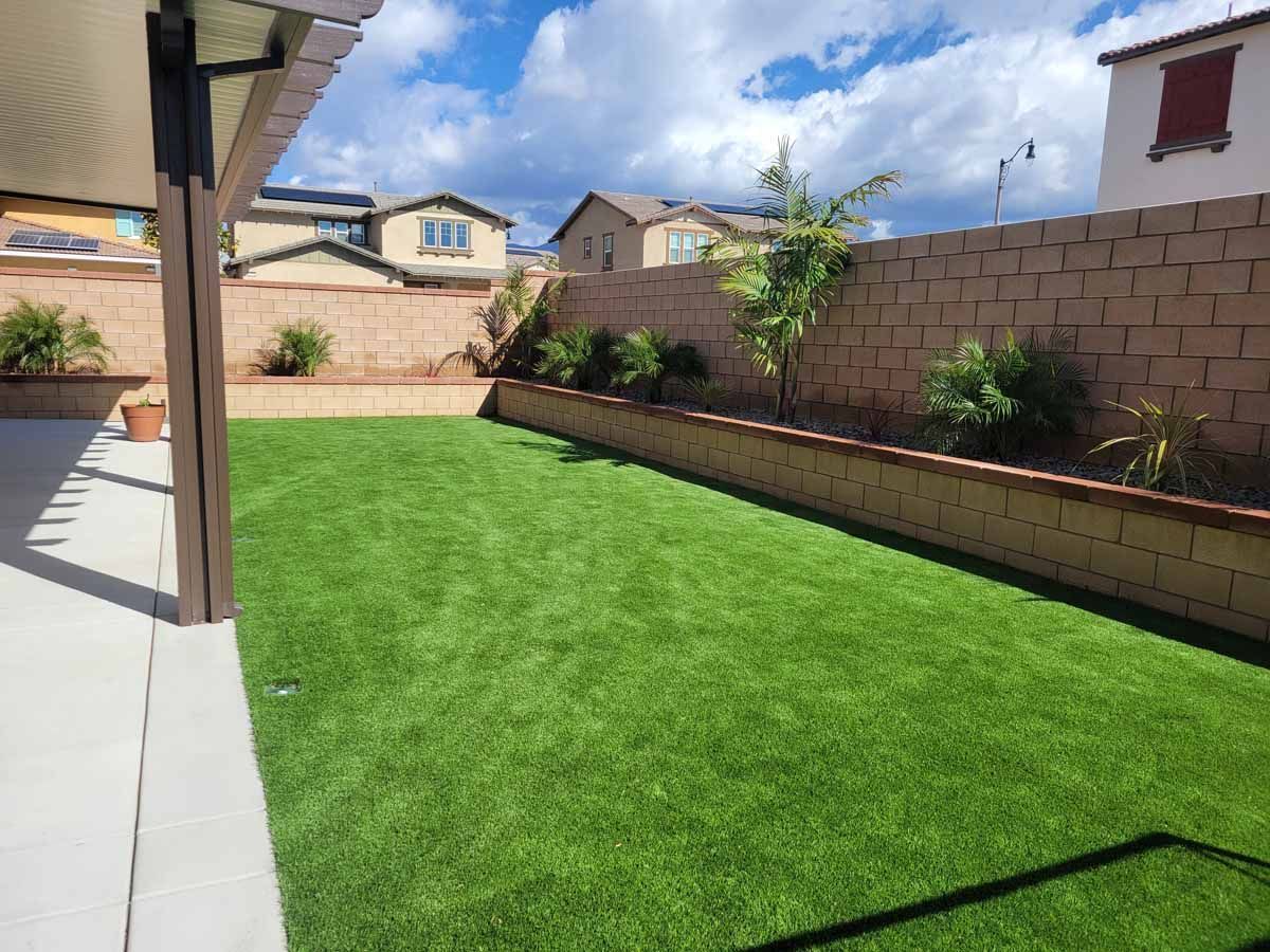 Backyard with green turf, a brick wall with plants, and houses in the background. Sunny day.