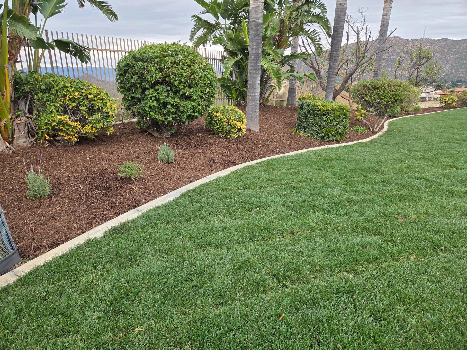 Lush green lawn borders a mulch bed with bushes and a tree; a fence and foliage are in the background.