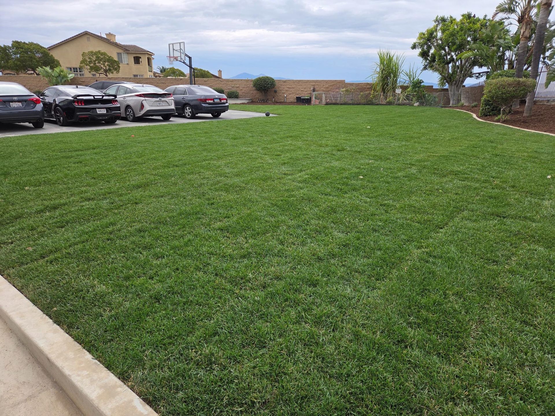 Green lawn in front of parked cars and a house, with a cloudy sky in the background.
