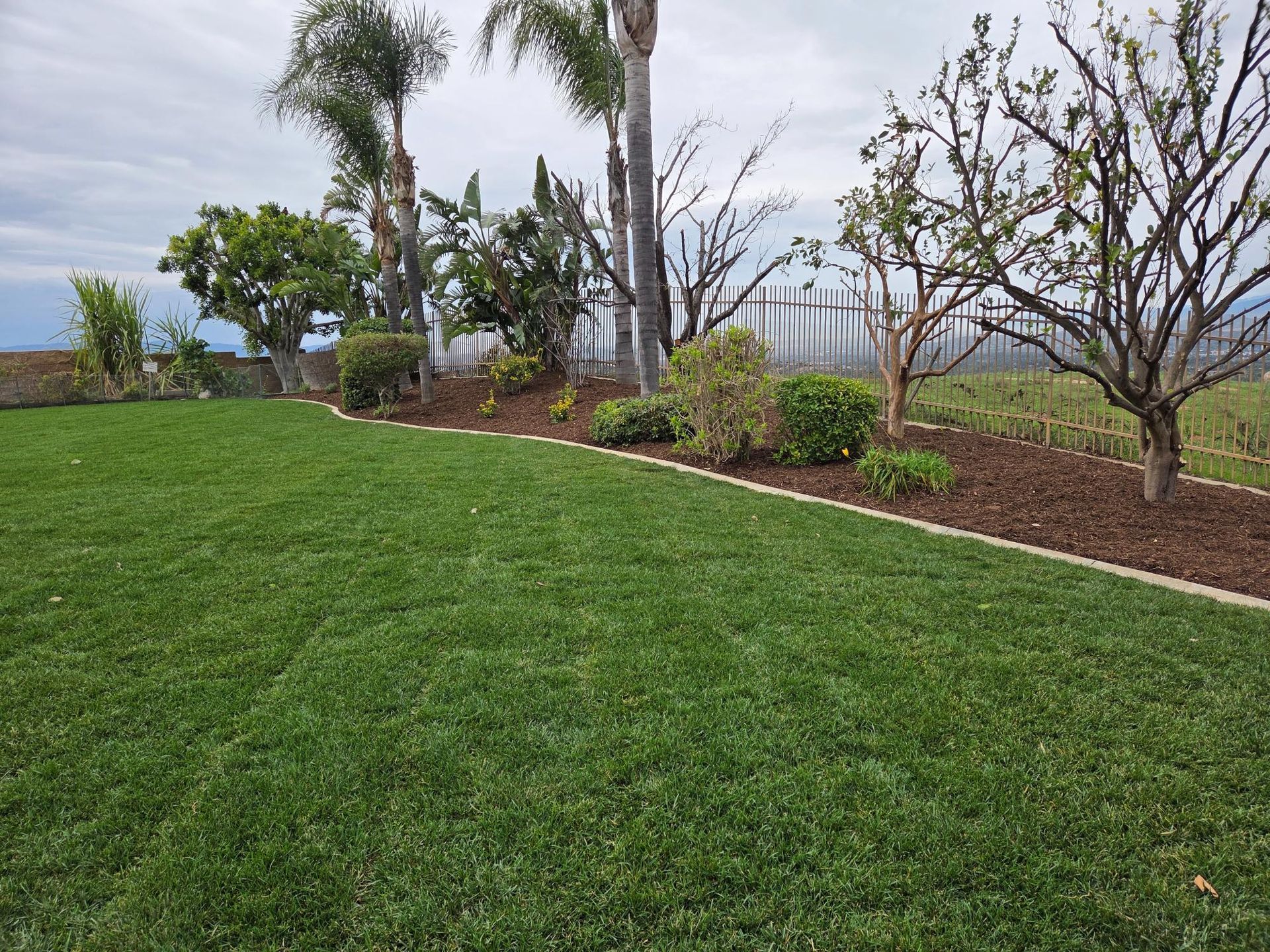 Green lawn with a border of mulch and various trees and bushes under a cloudy sky.