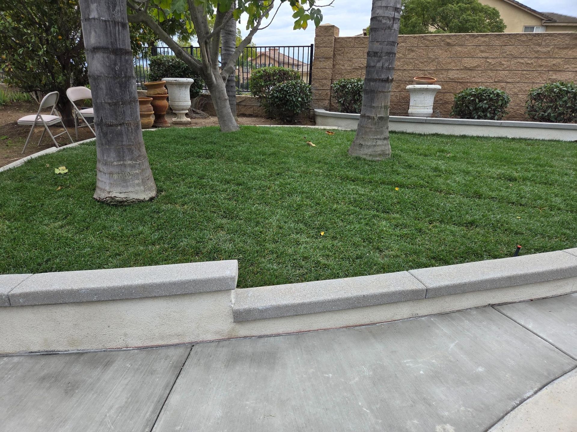 Grassy lawn bordered by a stone wall, trees, and sidewalk, with a brick wall backdrop.
