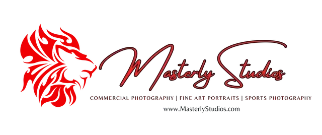 A logo for a photography studio with a lion on it.