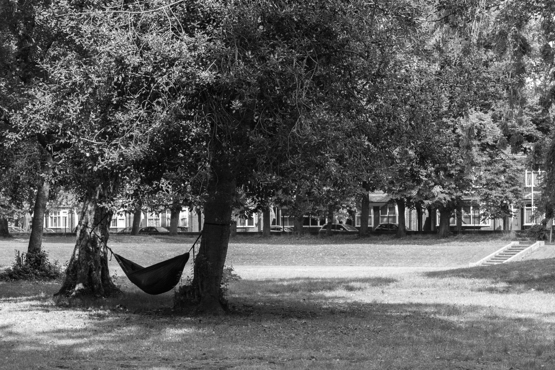 Alexandra Park, Manchester