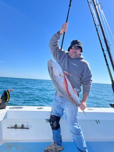 Man on a boat holding up a large fish he caught. Blue sky and ocean in the background.