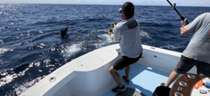 Man fishing from a boat, reeling in a large fish that has jumped out of the water. Blue ocean with a bright sky.