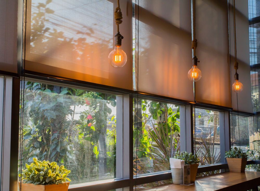 Sunlit cafe interior with large windows, roller shades, hanging Edison bulbs, and potted plants. — Jade Fluerty Electrical In Tinana, QLD