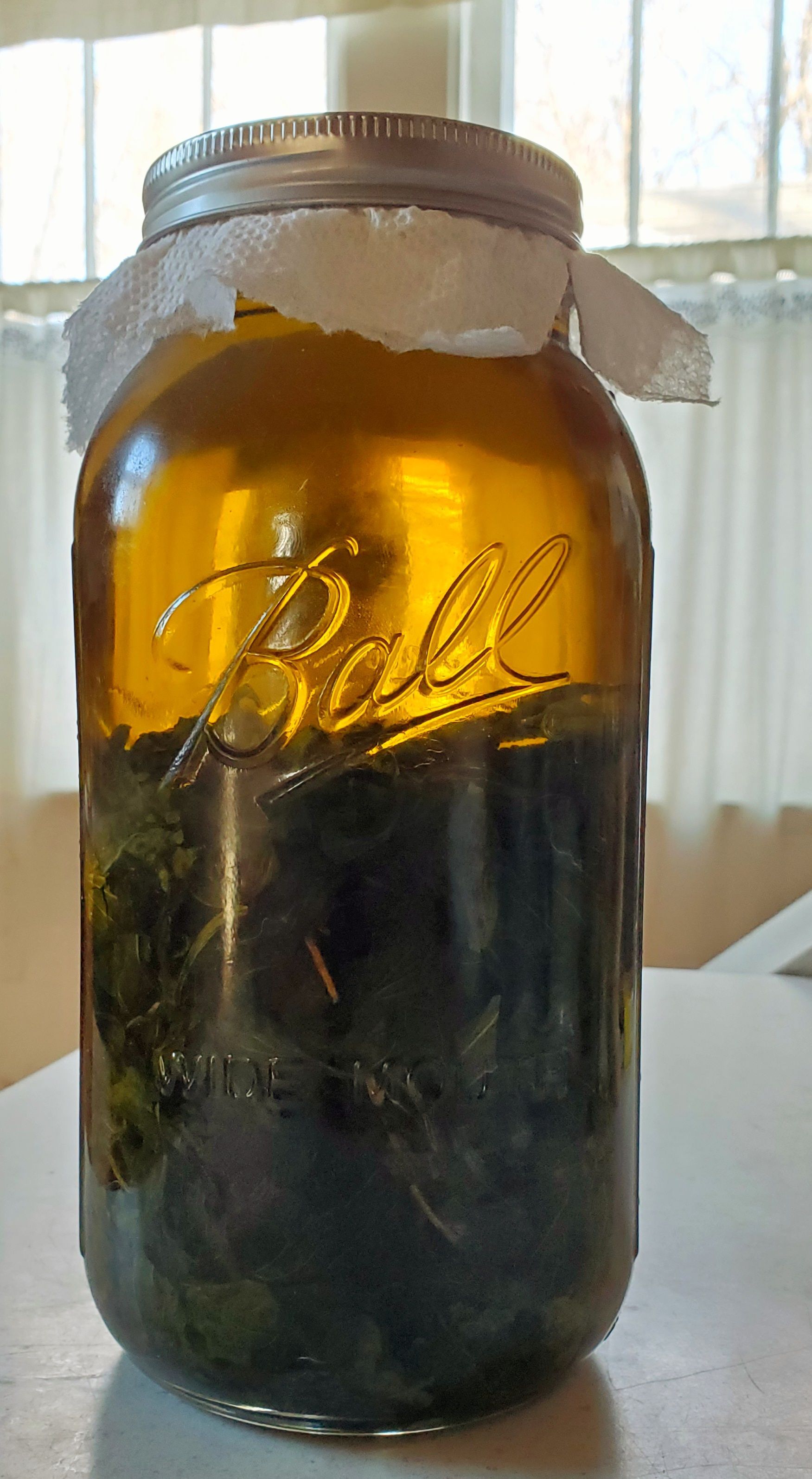 A glass jar filled with dark green herbs and golden-hued oil, covered with a cloth and lid.