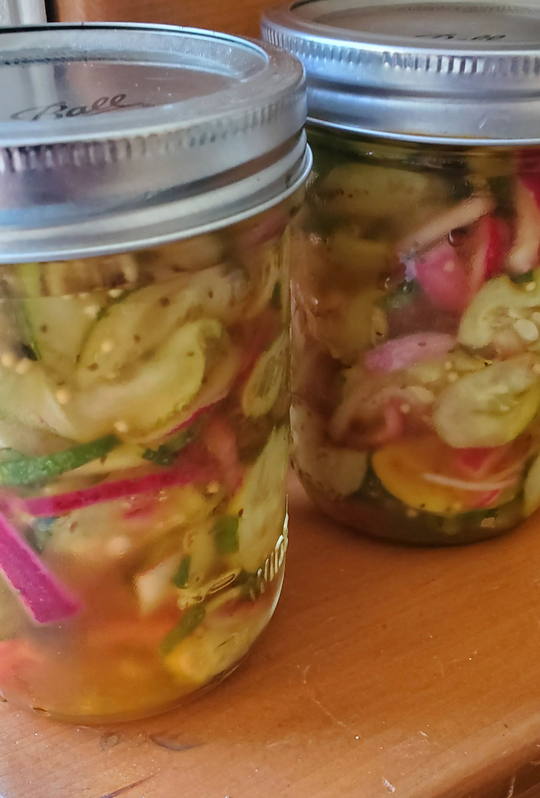 Two glass jars filled with pickled cucumbers, radishes, and onions.