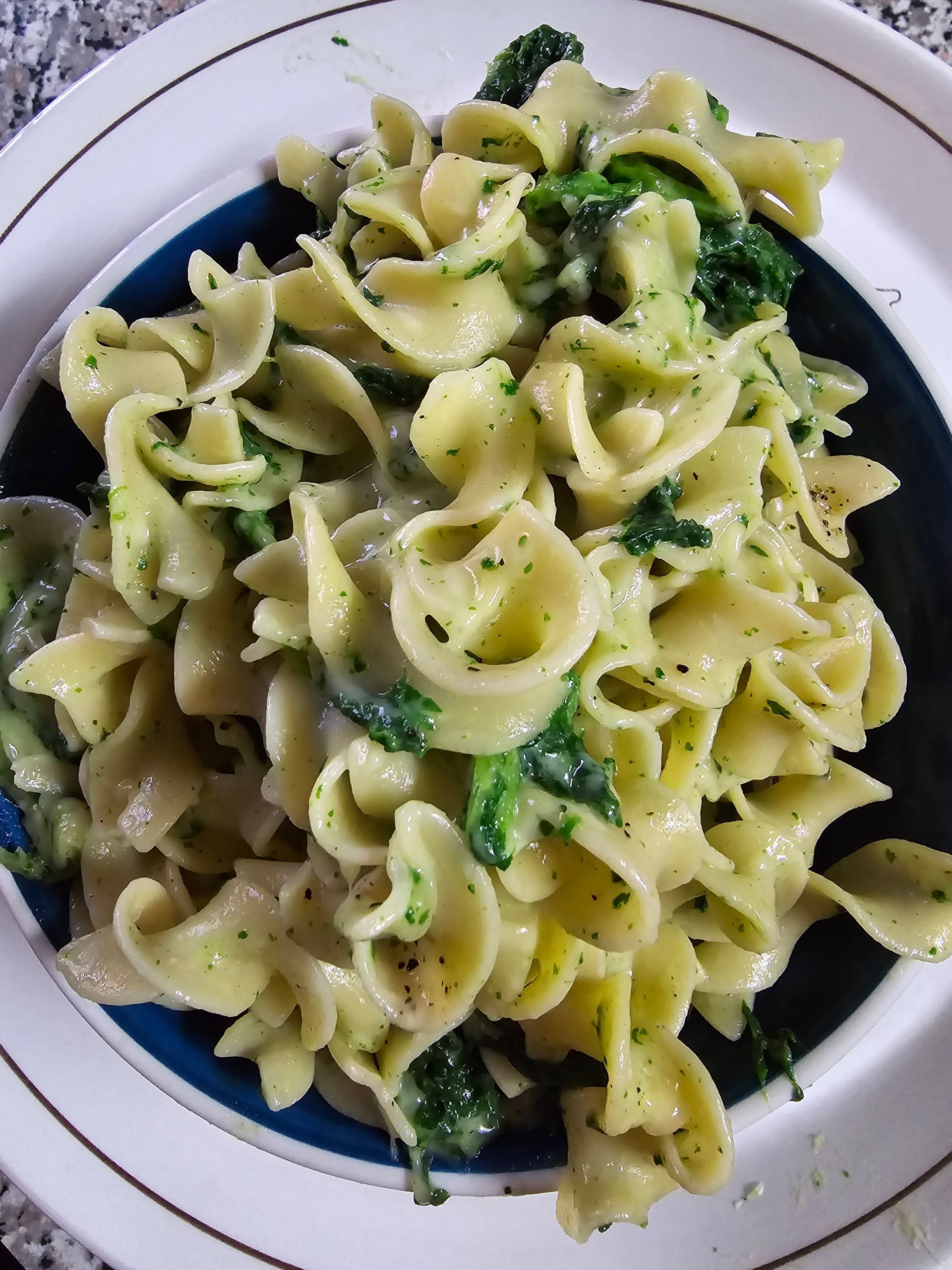 Pasta dish with green vegetables and creamy sauce on a blue-rimmed plate.