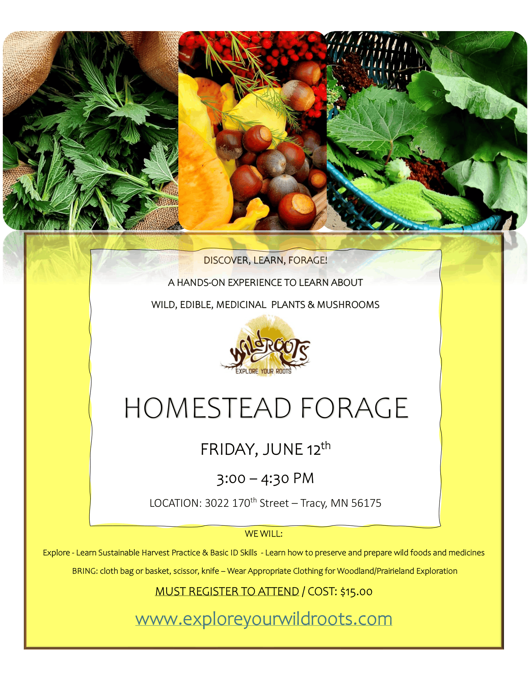 Flyer for Homestead Forage with colorful leafy greens and fruits on a yellow background.