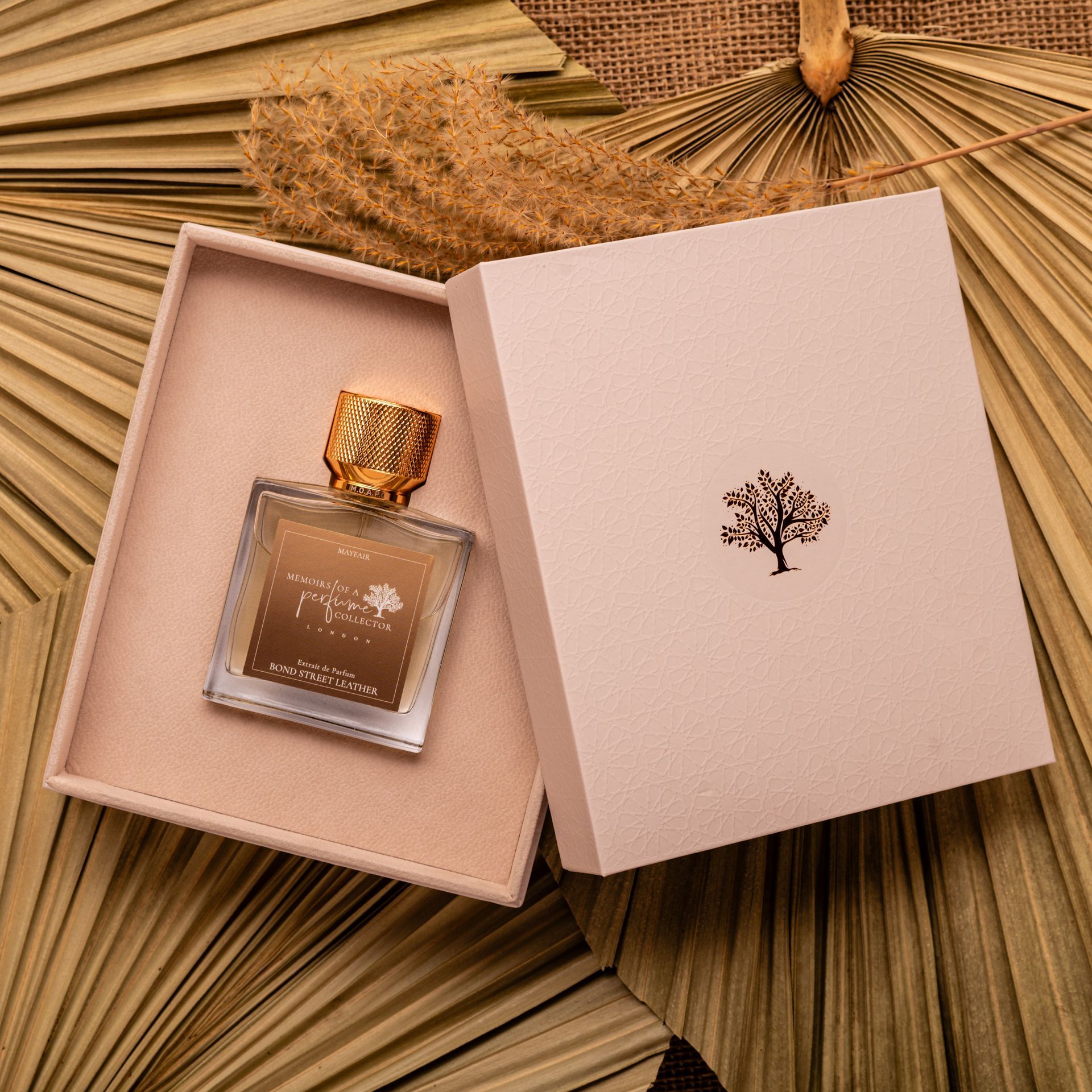 High end editorial photography perfumes