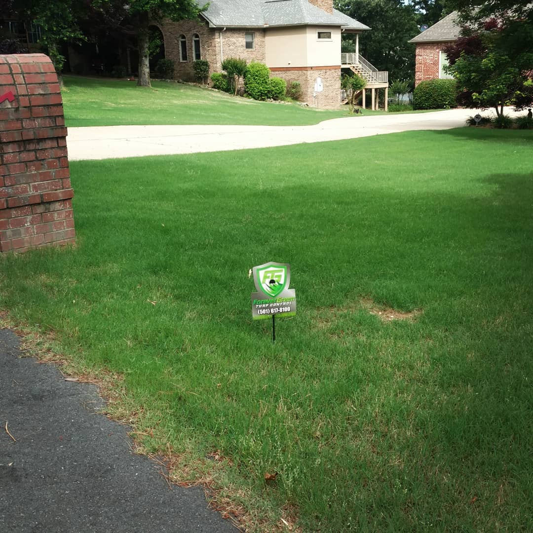 Picture of lawn treatment in hot springs, ar