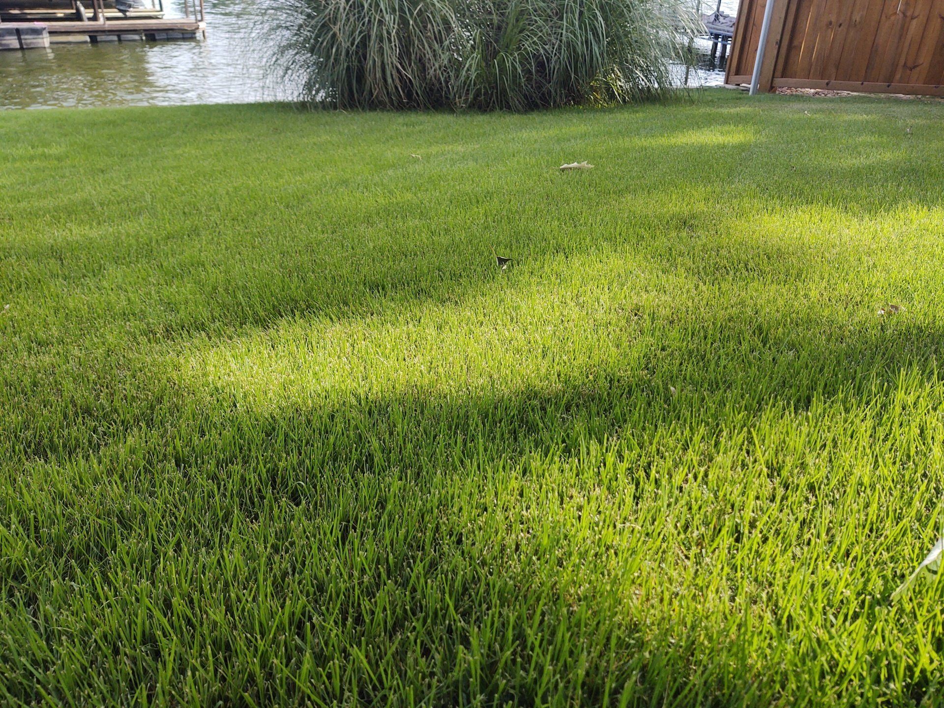 Picture of Lawn Treatment in Hot Springs