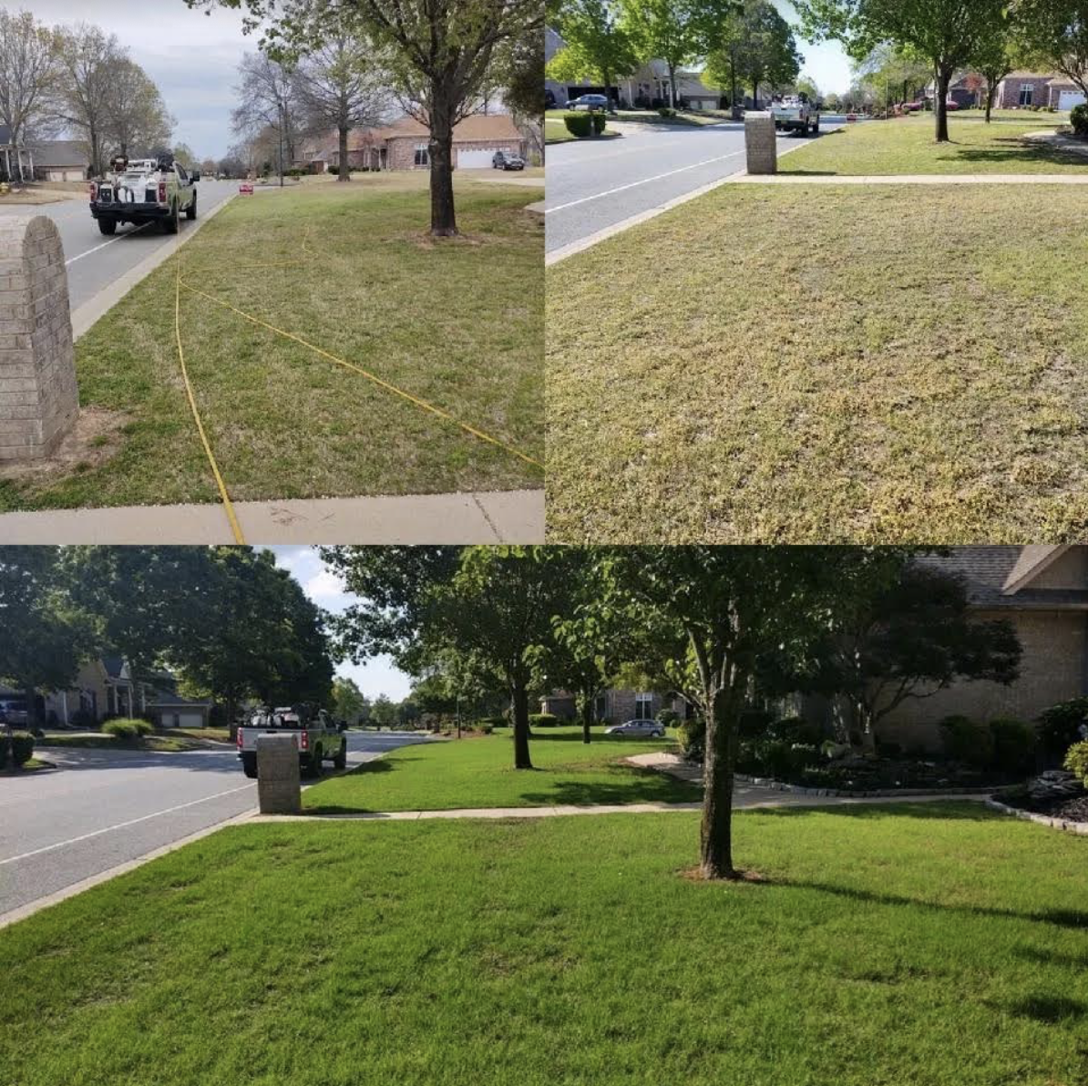 Picture of Before & After Lawn  in Hot Springs