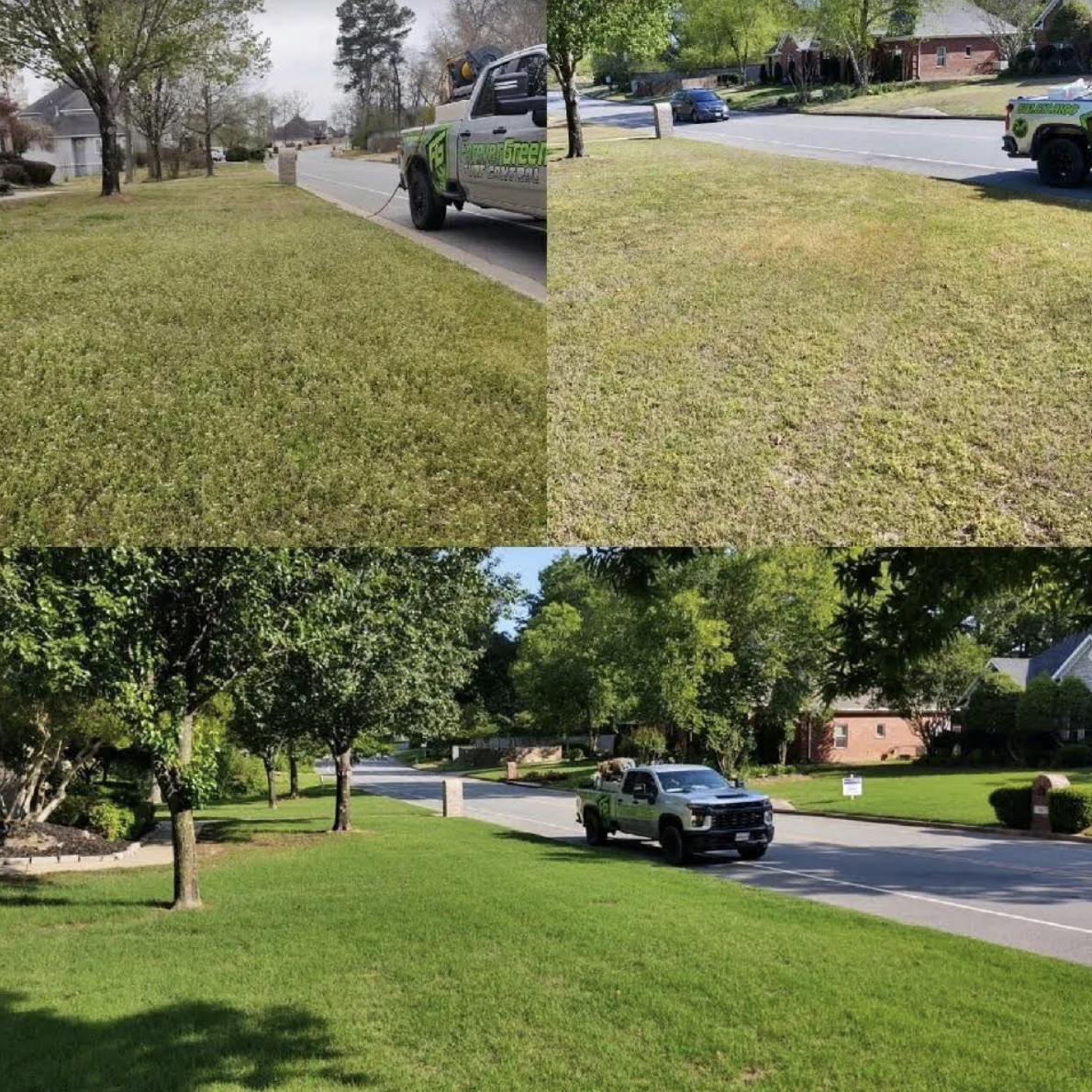 Picture of healthy lawn  in Hot Springs